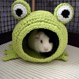 Guinea Pig Frog House: Cozy Small Pet Hideaway